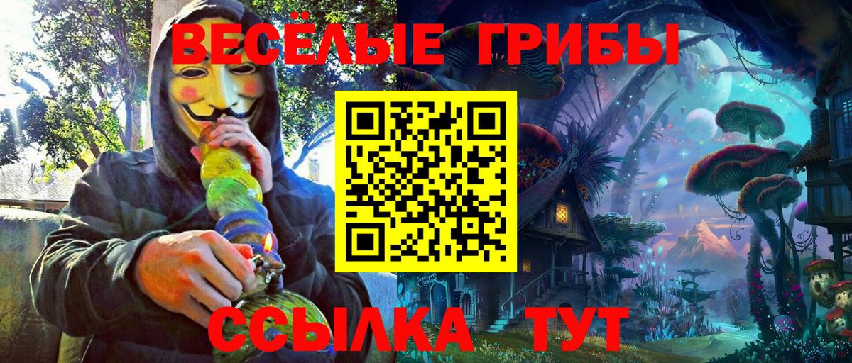 Галлюциногенные грибы Cubensis  Вход с VPN  купить наркотики сайты  Десногорск 
